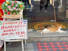 -飞马旅黎黄陂路文旅街区
