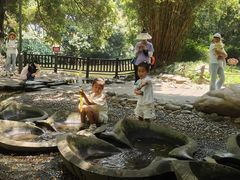 -成都市活水公园
