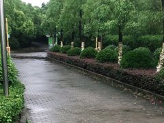 -上海海湾国家森林公园