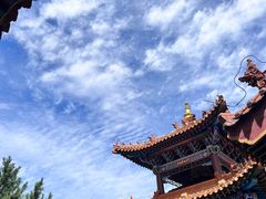 -大召无量寺