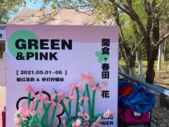 -长白岛森林公园