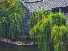 -朝花夕拾中餐厅(台儿庄古城复兴广场店)
