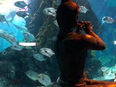 -暹罗海洋世界
