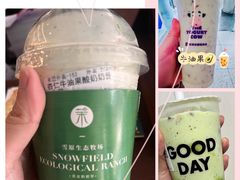 -茉酸奶(春熙路店)