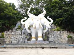 -西双版纳勐泐文化旅游区