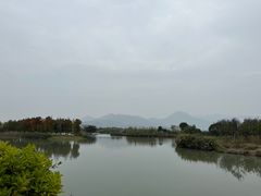 -三垟湿地