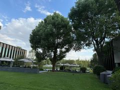 -养云安缦吧THE BAR