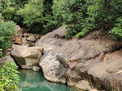 -广州白江湖森林公园