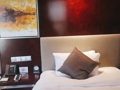 -常州环球恐龙城维景国际大酒店