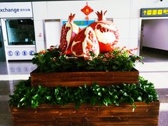 -乌鲁木齐天山国际机场-T3航站楼