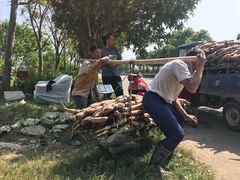 -洪湖生态旅游区