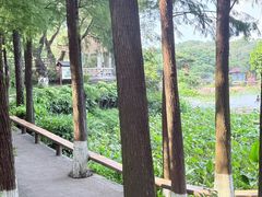 -广州莲花山旅游区