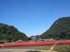-广州市石门国家森林公园