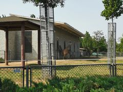 -石家庄市动物园