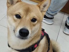 -金谷园饺子·烧烤(人大总店)