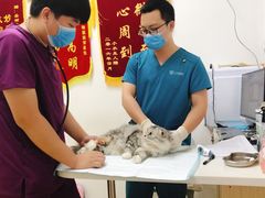 -创凡宠物医院·骨专科  猫科中心(西乡分院)