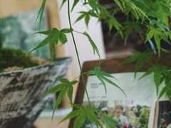 -知物癖(牛王庙店)