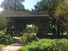 -王借岗森林公园