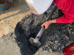 -红树林天天赶海