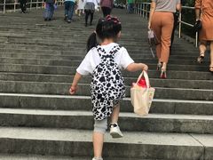-上海佘山国家森林公园东门地面停车场