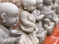 -江阴君山寺
