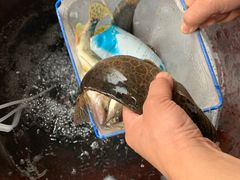 -怀化名堂(正清路店)