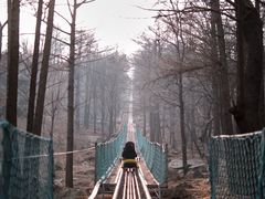 -沂蒙山旅游区云蒙景区(蒙山国家森林公园)