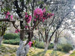 -元大都城垣遗址公园