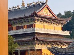 -铁山坪森林公园