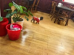 -观桥阁(锦溪店)