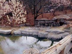 -国家植物园