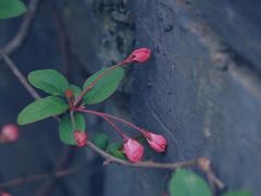 景点-荆川公园
