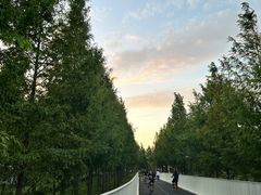 -上海山野camping·户外天幕烧烤·团建拓展营地