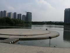-南翔镇银翔湖公园