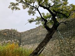 -北京明城墙遗址公园
