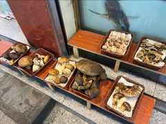 -草墩罗非鱼庄•野生菌•腊排骨(七星街上段店)