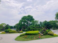 -三垟湿地