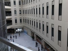 -首都医科大学附属北京天坛医院