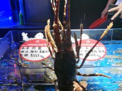-徐记海鲜(大雁塔|金都店)