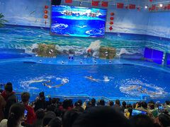 -多彩贵州城极地海洋世界