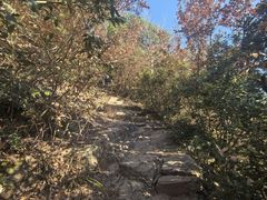 -宝岩生态观光园