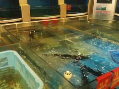 -龙景轩大酒店(宝杨路店)