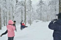 -大秃顶子山