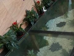 -上海如意智慧酒店(上海科学院店)