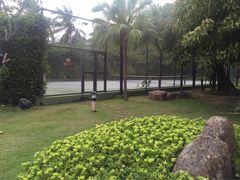 三亚凯莱仙人掌度假酒店-三亚亚龙湾凯莱仙人掌度假酒店