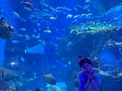 -海合安成都极地海洋公园