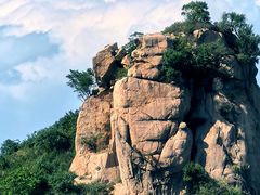 -大岭沟猕猴桃谷风景区