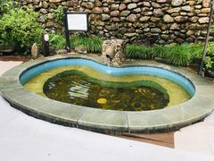 -宁海森林温泉