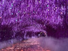 -天津方特欢乐世界