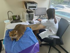 -美联众合动物医院·24h京西诊疗中心